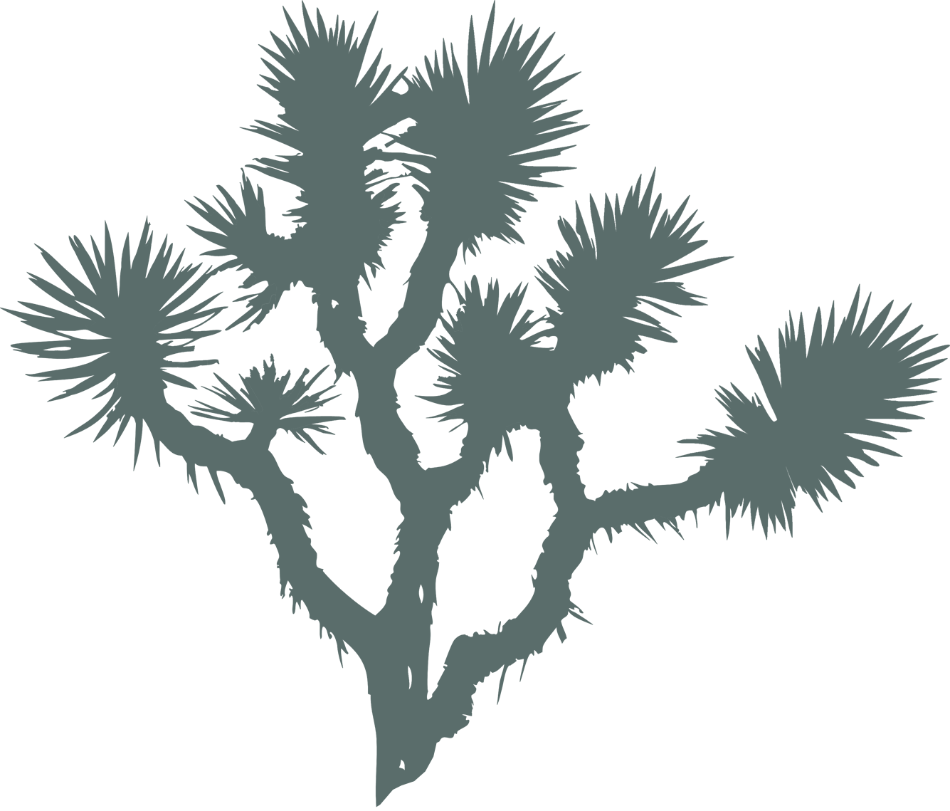 Ornamento de planta